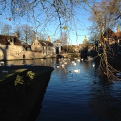 randonnee pedestre a bruges