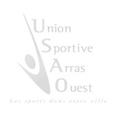 remise des recompenses des sportifs de l'annee